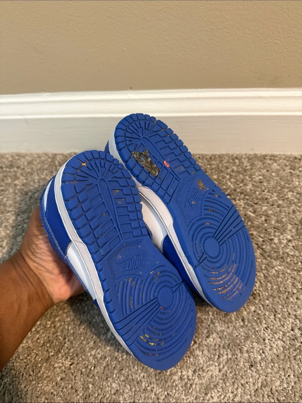 Toddler Nike Dunks